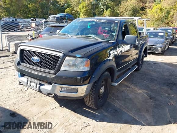 2005 Ford F-150 XLT with VIN 1FTPW14525KC99916, listed as a IAAI auction lot 43424022 with 209,178 mi miles and . Bid and sale history available at DreamBid. Image 2.