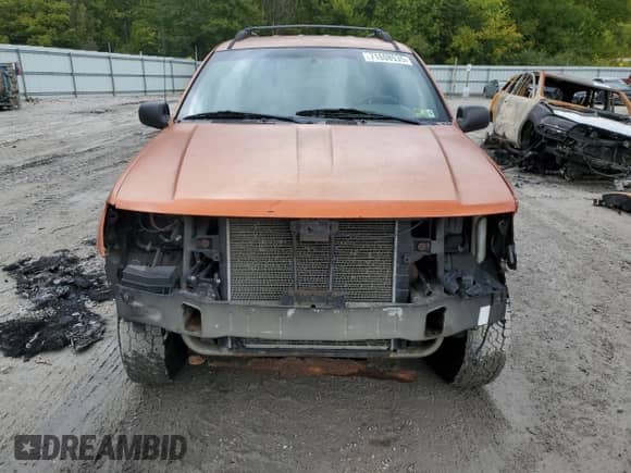 1999 Jeep Grand Cherokee Laredo с VIN 1J4GW58S7XC518416, выставлен на аукционе Copart как лот 71608535 с пробегом 222 071 миль миль и Списание • Salvage title. История ставок и продаж доступна на DreamBid. Изображение 5.