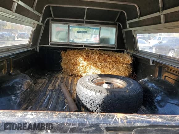 1994 Ford F-150 с VIN 1FTEF14N1RLB23589, выставлен на аукционе Copart как лот 75737084 с пробегом 143 875 миль миль и Чистый • Clean title. История ставок и продаж доступна на DreamBid. Изображение 10.