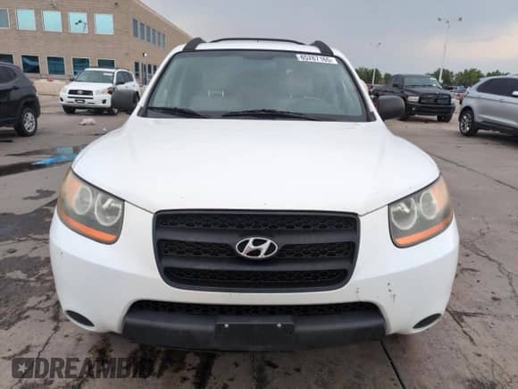 2009 Hyundai Santa Fe GLS с VIN 5NMSG73D49H263083, выставлен на аукционе Copart как лот 65267165 с пробегом 166 971 миль миль и Списание • Salvage title. История ставок и продаж доступна на DreamBid. Изображение 5.