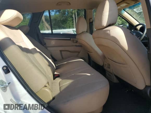 2010 Hyundai Santa Fe GLS with VIN 5NMSG3AB3AH414770, listed as a Copart auction lot 70350635 with 202,263 mi miles and Salvage title. Bid and sale history available at DreamBid. Image 11.
