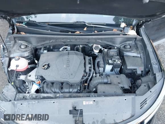 2023 Kia Sorento LX with VIN 5XYRG4LC5PG175624, listed as a IAAI auction lot 42740712 with 53,342 mi miles and . Bid and sale history available at DreamBid. Image 10.