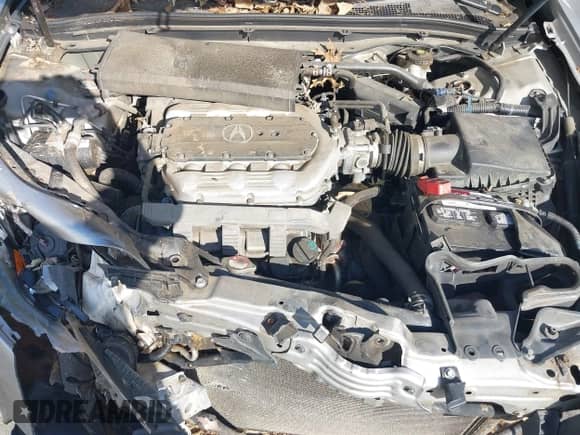 2009 Acura TL с VIN 19UUA86289A014565, выставлен на аукционе IAAI как лот 43377621 с пробегом 148 782 миль миль и . История ставок и продаж доступна на DreamBid. Изображение 10.