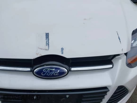 2014 Ford Focus Titanium with VIN 1FADP3J27EL215076, listed as a IAAI auction lot 43442107 with 137,959 mi miles and . Bid and sale history available at DreamBid. Image 17.