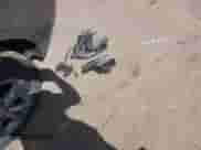 2012 Chevrolet Equinox 2LT z VIN 2GNALPEK0C6370835, wystawiony jako IAAI lot #43093272 z przebiegiem 184 052 mil mil oraz . Historia ofert i sprzedaży dostępna na DreamBid. Obrazek 11.