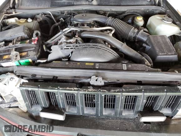 1995 Jeep Grand Cherokee Limited with VIN 1J4GZ78Y2SC723898, listed as a Copart auction lot 54142035 with 173,454 mi miles and Salvage title. Bid and sale history available at DreamBid. Image 12.