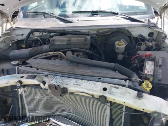2000 Dodge 1500 with VIN 1B7HC16Y3YS505673, listed as a IAAI auction lot 42927378 with 216,911 mi miles and . Bid and sale history available at DreamBid. Image 10.