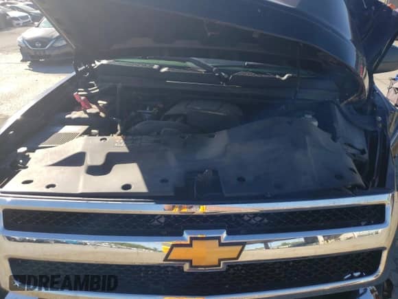 2008 Chevrolet Silverado 1500 1LT с VIN 1GCEK19J28E110239, выставлен на аукционе Copart как лот 74386624 с пробегом 186 600 миль миль и Списание • Salvage title. История ставок и продаж доступна на DreamBid. Изображение 12.