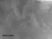 2011 Ford Mustang GT с VIN 1ZVBP8CF9B5162831, выставлен на аукционе IAAI как лот 42313368 с пробегом 127 212 миль миль и . История ставок и продаж доступна на DreamBid. Изображение 8.