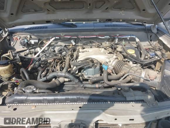 2004 Nissan Frontier XE с VIN 1N6ED29X04C445524, выставлен на аукционе IAAI как лот 42788925 с пробегом 339 652 миль миль и . История ставок и продаж доступна на DreamBid. Изображение 10.