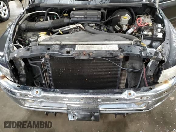 1999 Dodge 1500 with VIN 1B7HF16Y5XS150818, listed as a Copart auction lot 83490054 with 118,584 mi miles and Salvage title. Bid and sale history available at DreamBid. Image 11.