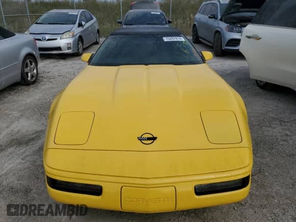 1991 Chevrolet Corvette with VIN 1G1YY3380M5116122, listed as a Copart auction lot 75297814 with Not provided miles and Non repairable. Bid and sale history available at DreamBid. Image 5.