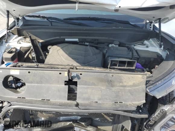 2021 Hyundai Palisade SEL с VIN KM8R44HE3MU288559, выставлен на аукционе Copart как лот 60079945 с пробегом 63 656 миль миль и Списание • Salvage title. История ставок и продаж доступна на DreamBid. Изображение 12.