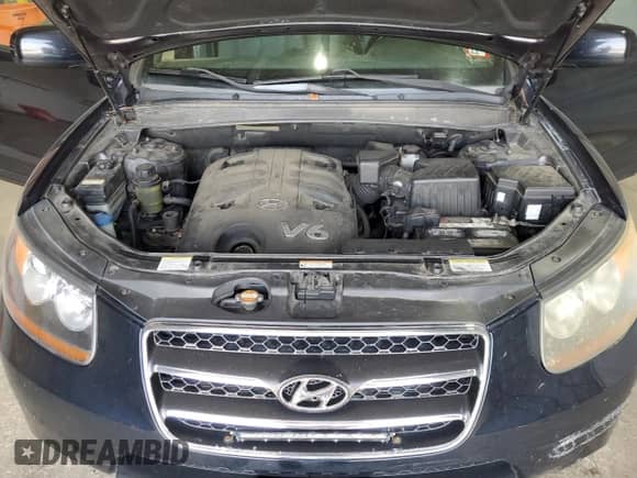 2007 Hyundai Santa Fe SE z VIN 5NMSH73E27H107093, wystawiony jako Copart lot #81649785 z przebiegiem 144 038 mil mil oraz Szkoda całkowita • Salvage title. Historia ofert i sprzedaży dostępna na DreamBid. Obrazek 12.