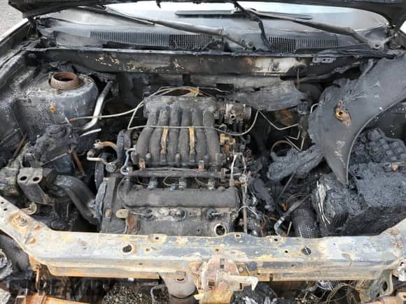 2003 Hyundai Santa Fe GLS z VIN KM8SC73D33U486383, wystawiony jako Copart lot #80148775 z przebiegiem 219 900 mil mil oraz Szkoda całkowita • Salvage title. Historia ofert i sprzedaży dostępna na DreamBid. Obrazek 12.