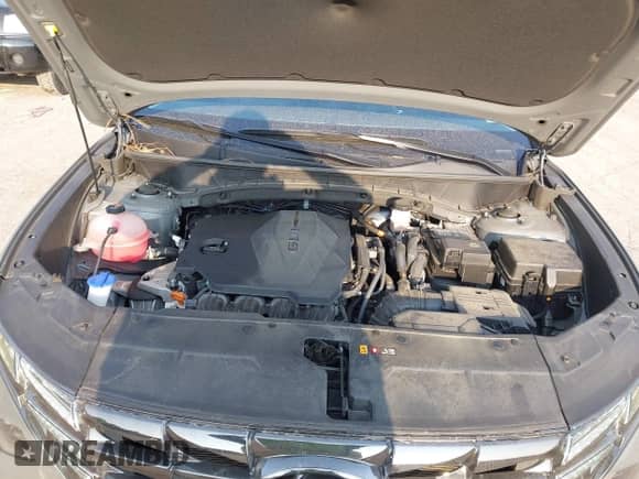 2024 Hyundai Tucson Limited with VIN 5NMJECDE9RH354609, listed as a IAAI auction lot 43155306 with 39,951 mi miles and . Bid and sale history available at DreamBid. Image 10.