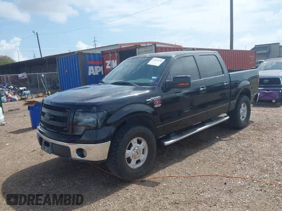 2009 Ford F-150 XL with VIN 1FTRW12869FA90411, listed as a IAAI auction lot 42533298 with 167,041 mi miles and . Bid and sale history available at DreamBid. Image 17.