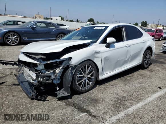 2021 Toyota Camry Hybrid XLE with VIN 4T1F31AKXMU553174, listed as a Copart auction lot 66007645 with Not provided miles and Salvage title. Bid and sale history available at DreamBid. Image 1.