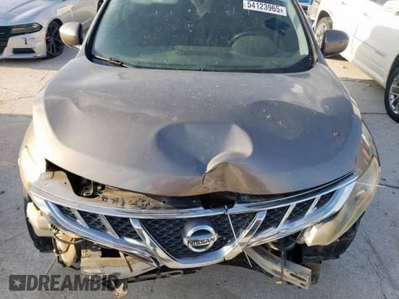 2013 Nissan Murano SL with VIN JN8AZ1MU6DW209375, listed as a Copart auction lot 54123965 with 144,909 mi miles and Salvage title. Bid and sale history available at DreamBid. Image 11.