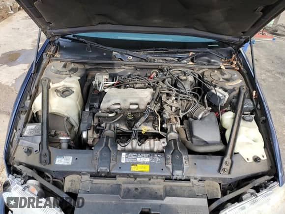 1995 Chevrolet Lumina с VIN 2G1WL52M0S9165899, выставлен на аукционе Copart как лот 50902445 с пробегом 54 508 миль миль и Списание • Salvage title. История ставок и продаж доступна на DreamBid. Изображение 12.