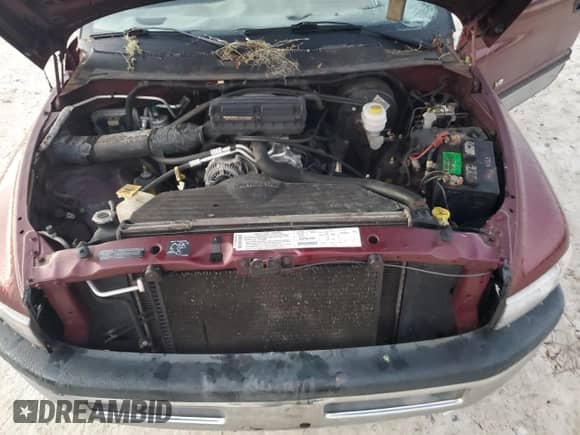 2000 Dodge 1500 с VIN 1B7HF13Y0YJ155873, выставлен на аукционе Copart как лот 41744525 с пробегом 174 499 миль миль и На запчасти • Non repairable. История ставок и продаж доступна на DreamBid. Изображение 12.