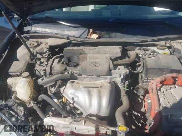 2013 Toyota Camry LE z VIN 4T1BD1FK2DU093299, wystawiony jako IAAI lot #43405541 z przebiegiem 151 153 mil mil oraz . Historia ofert i sprzedaży dostępna na DreamBid. Obrazek 10.