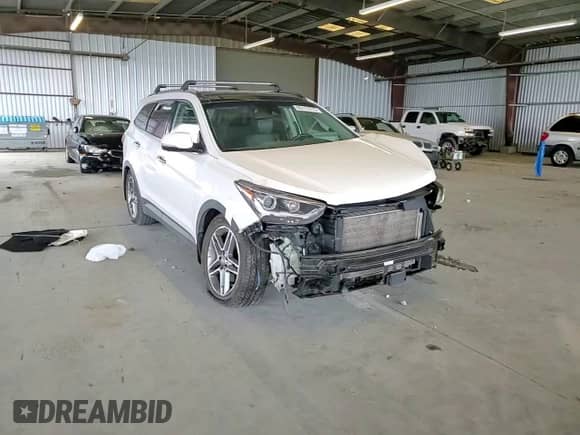2017 Hyundai Santa Fe SE Ultimate with VIN KM8SRDHF6HU248087, listed as a Copart auction lot 80115775 with 93,268 mi miles and Salvage title. Bid and sale history available at DreamBid. Image 14.