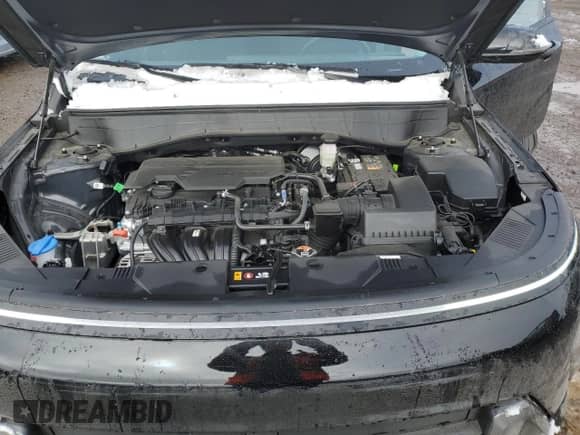 2024 Hyundai Kona SEL with VIN KM8HB3AB7RU171988, listed as a Copart auction lot 77008054 with 1,445 mi miles and Clean title. Bid and sale history available at DreamBid. Image 12.