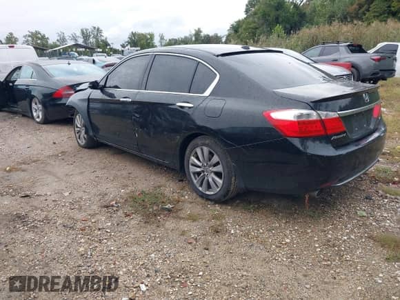 2014 Honda Accord EX-L с VIN 1HGCR3F8XEA042521, выставлен на аукционе IAAI как лот 43438101 с пробегом 135 709 миль миль и . История ставок и продаж доступна на DreamBid. Изображение 3.