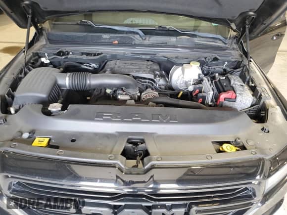 2019 Ram 1500 Big Horn with VIN 1C6SRFMT6KN537734, listed as a Copart auction lot 81329245 with 62,365 mi miles and Salvage title. Bid and sale history available at DreamBid. Image 11.