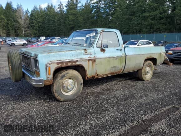 1973 Chevrolet Silverado 2500 with VIN CCY243Z101829, listed as a Copart auction lot 48826105 with 1,843 mi miles and Clean title. Bid and sale history available at DreamBid. Image 1.