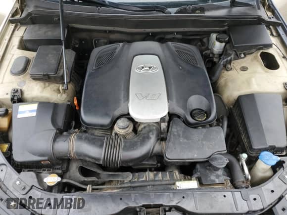 2009 Hyundai Genesis with VIN KMHGC46F49U069834, listed as a Copart auction lot 68668535 with 225,884 mi miles and Salvage title. Bid and sale history available at DreamBid. Image 11.