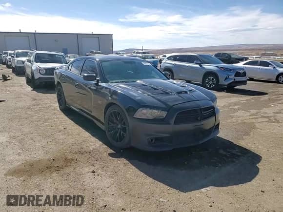 2013 Dodge Charger SRT-8 Super Bee z VIN 2C3CDXGJ6DH563858, wystawiony jako Copart lot #44337315 z przebiegiem 127 716 mil mil oraz Szkoda całkowita • Salvage title. Historia ofert i sprzedaży dostępna na DreamBid. Obrazek 13.