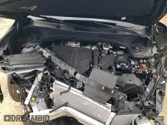 2025 Hyundai Santa Fe SE z VIN 5NMP1DGL9SH069193, wystawiony jako Copart lot #81477024 z przebiegiem 1 356 mil mil oraz Szkoda całkowita • Salvage title. Historia ofert i sprzedaży dostępna na DreamBid. Obrazek 13.