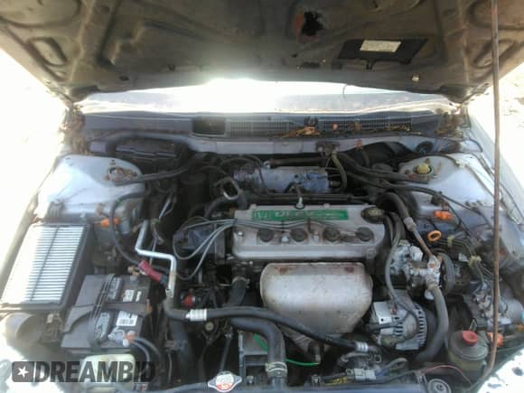 2001 Honda Accord EX с VIN 1HGCG32711A010067, выставлен на аукционе IAAI как лот 42611824 с пробегом 175 120 миль миль и . История ставок и продаж доступна на DreamBid. Изображение 10.