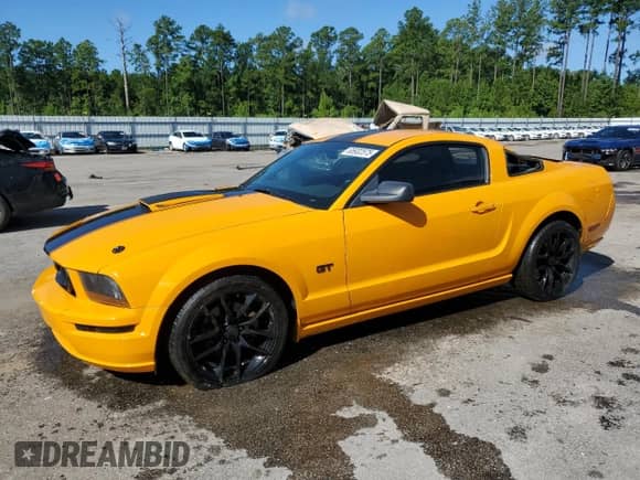2007 Ford Mustang GT Deluxe z VIN 1ZVFT82H175224035, wystawiony jako Copart lot #65932575 z przebiegiem 126 200 mil mil oraz Szkoda całkowita • Salvage title. Historia ofert i sprzedaży dostępna na DreamBid. Obrazek 1.