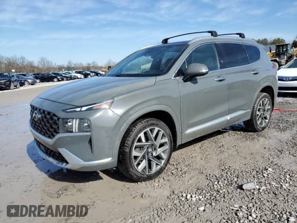 2021 Hyundai Santa Fe Calligraphy с VIN 5NMS5DAL5MH368500, выставлен на аукционе Copart как лот 42534255 с пробегом 106 945 миль миль и Списание • Salvage title. История ставок и продаж доступна на DreamBid. Изображение 1.