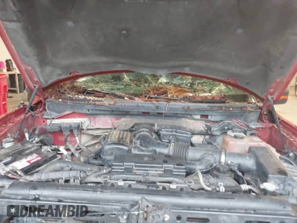 2010 Ford F-150 XL with VIN 1FTFW1EV0AFB25954, listed as a IAAI auction lot 41390867 with 234,605 mi miles and . Bid and sale history available at DreamBid. Image 10.