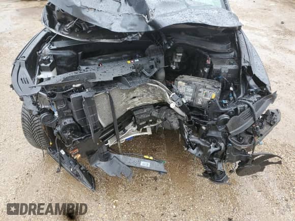 2020 Hyundai Santa Fe Limited z VIN 5NMS53AD1LH212570, wystawiony jako Copart lot #65686005 z przebiegiem Nie podano mil oraz Szkoda całkowita • Salvage title. Historia ofert i sprzedaży dostępna na DreamBid. Obrazek 11.