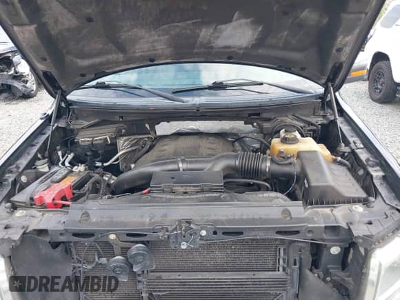 2013 Ford F-150 XL with VIN 1FTFW1ET2DFB68016, listed as a IAAI auction lot 43171102 with 166,049 mi miles and . Bid and sale history available at DreamBid. Image 10.