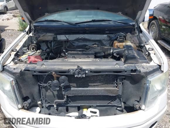 2011 Ford F-150 XL with VIN 1FTFW1EF5BFA72775, listed as a IAAI auction lot 42586396 with 298,466 mi miles and . Bid and sale history available at DreamBid. Image 10.