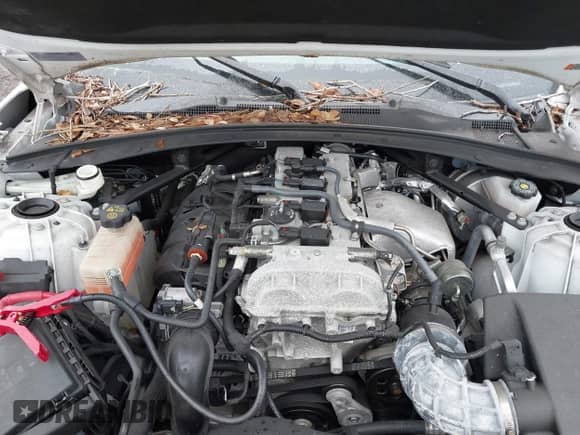 2021 Chevrolet Camaro 1LT с VIN 1G1FB1RX4M0142120, выставлен на аукционе IAAI как лот 41394658 с пробегом 25 477 миль миль и . История ставок и продаж доступна на DreamBid. Изображение 10.