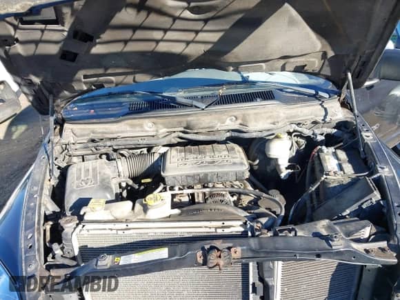 2007 Dodge 1500 SLT with VIN 1D7HU18N97J581974, listed as a IAAI auction lot 43390647 with 281,568 mi miles and . Bid and sale history available at DreamBid. Image 10.