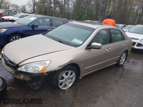 2005 Honda Accord EX-L с VIN 1HGCM66875A057221, выставлен на аукционе IAAI как лот 42007168 с пробегом 144 224 миль миль и . История ставок и продаж доступна на DreamBid. Изображение 2.