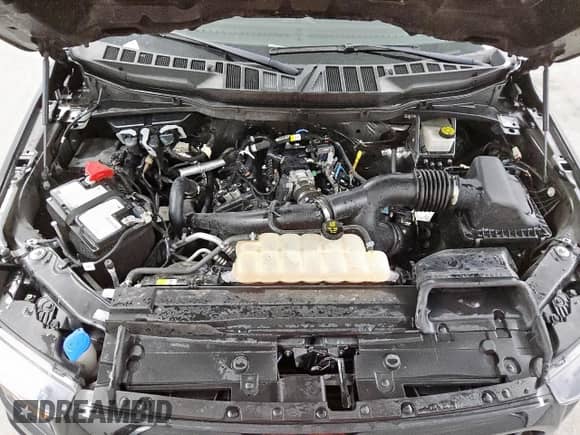 2023 Ford F-150 XL with VIN 1FTEW1CP1PKE60365, listed as a Copart auction lot 81051505 with 63,090 mi miles and Clean title. Bid and sale history available at DreamBid. Image 11.