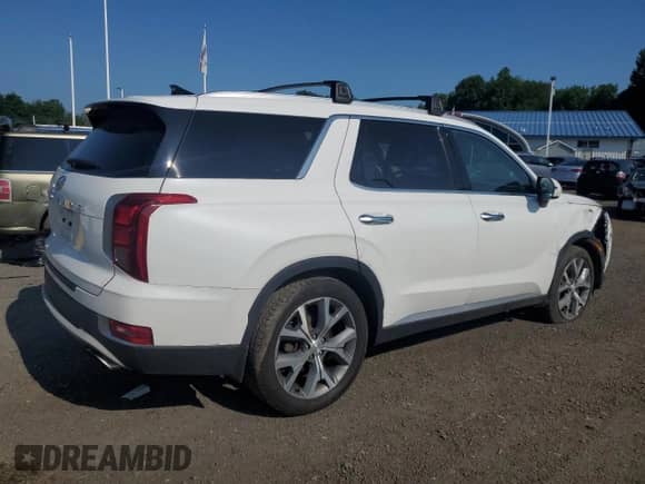 2022 Hyundai Palisade SEL with VIN KM8R44HE9NU347423, listed as a Copart auction lot 66542965 with 105,751 mi miles and Salvage title. Bid and sale history available at DreamBid. Image 3.