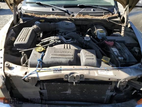 2002 Dodge Dakota SLT с VIN 1B7GL42X62S513428, выставлен на аукционе Copart как лот 81782275 с пробегом 201 494 миль миль и Списание • Salvage title. История ставок и продаж доступна на DreamBid. Изображение 11.