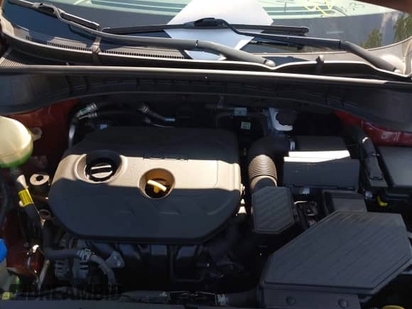 2019 Hyundai Tucson Value с VIN KM8J3CA46KU014331, выставлен на аукционе IAAI как лот 42745513 с пробегом 108 597 миль миль и . История ставок и продаж доступна на DreamBid. Изображение 10.