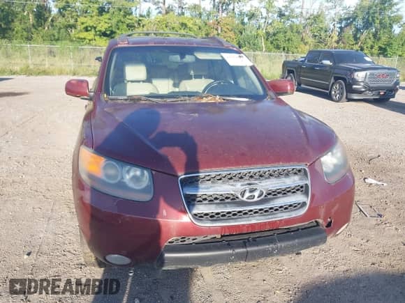 2007 Hyundai Santa Fe SE with VIN 5NMSH13E57H074524, listed as a IAAI auction lot 43314807 with 132,122 mi miles and . Bid and sale history available at DreamBid. Image 6.