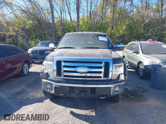 2012 Ford F-150 XLT z VIN 1FTFX1EF1CFC78996, wystawiony jako IAAI lot #43518110 z przebiegiem 163 539 mil mil oraz . Historia ofert i sprzedaży dostępna na DreamBid. Obrazek 12.